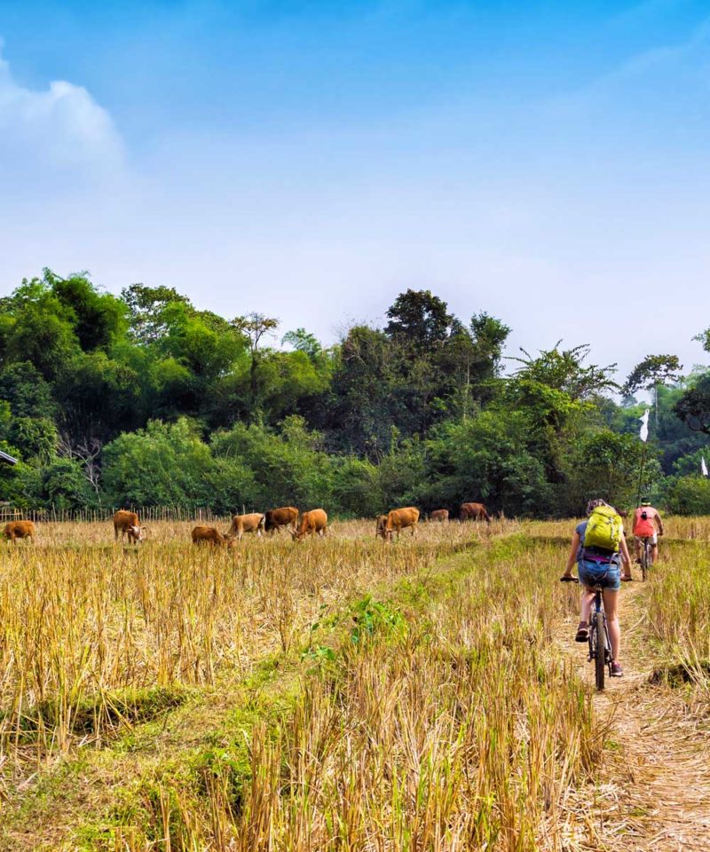 Burma cycling holiday - Myanmar bike tour