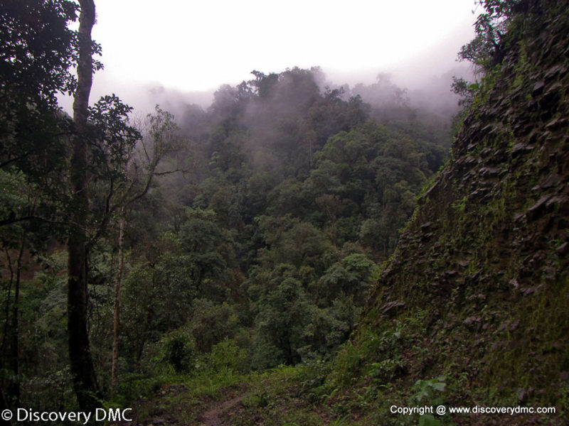 Trekking in Myanmar Himalaya