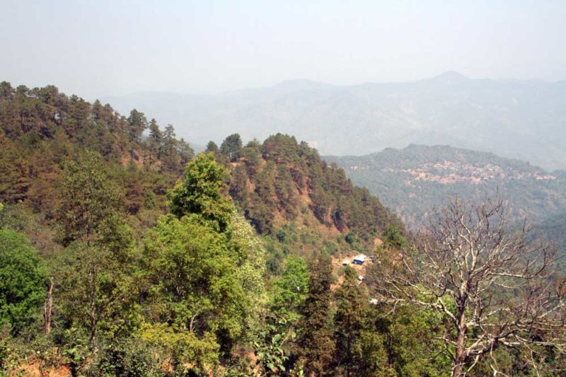 nature-view1