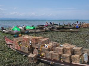 Upper Myanmar motorcycle tour