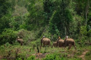 Upper Myanmar motorcycle tour