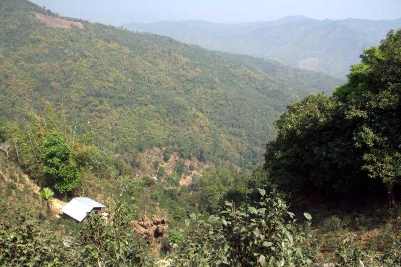 view-3
