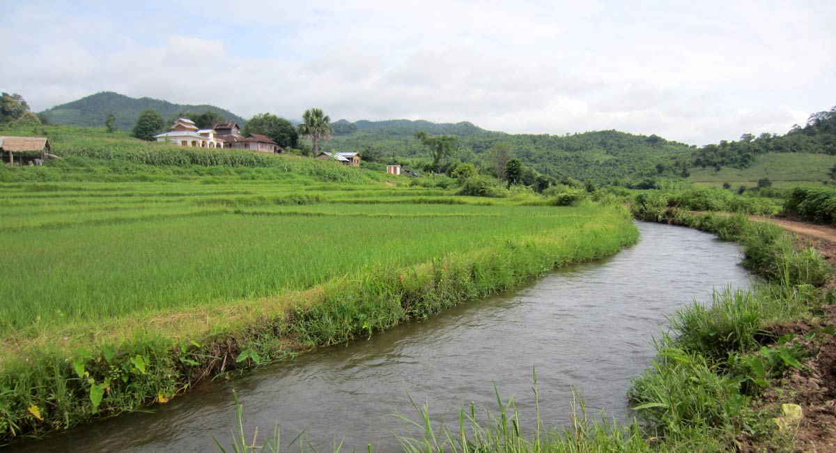 Trekking in Hsipaw and Kyaukme